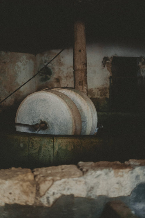 Historic Olive Heritage Experience - À bell a bell (3h) - Oleifici Rotondo Luigi